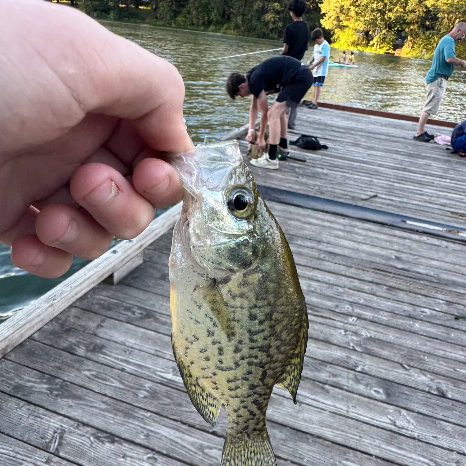 catch