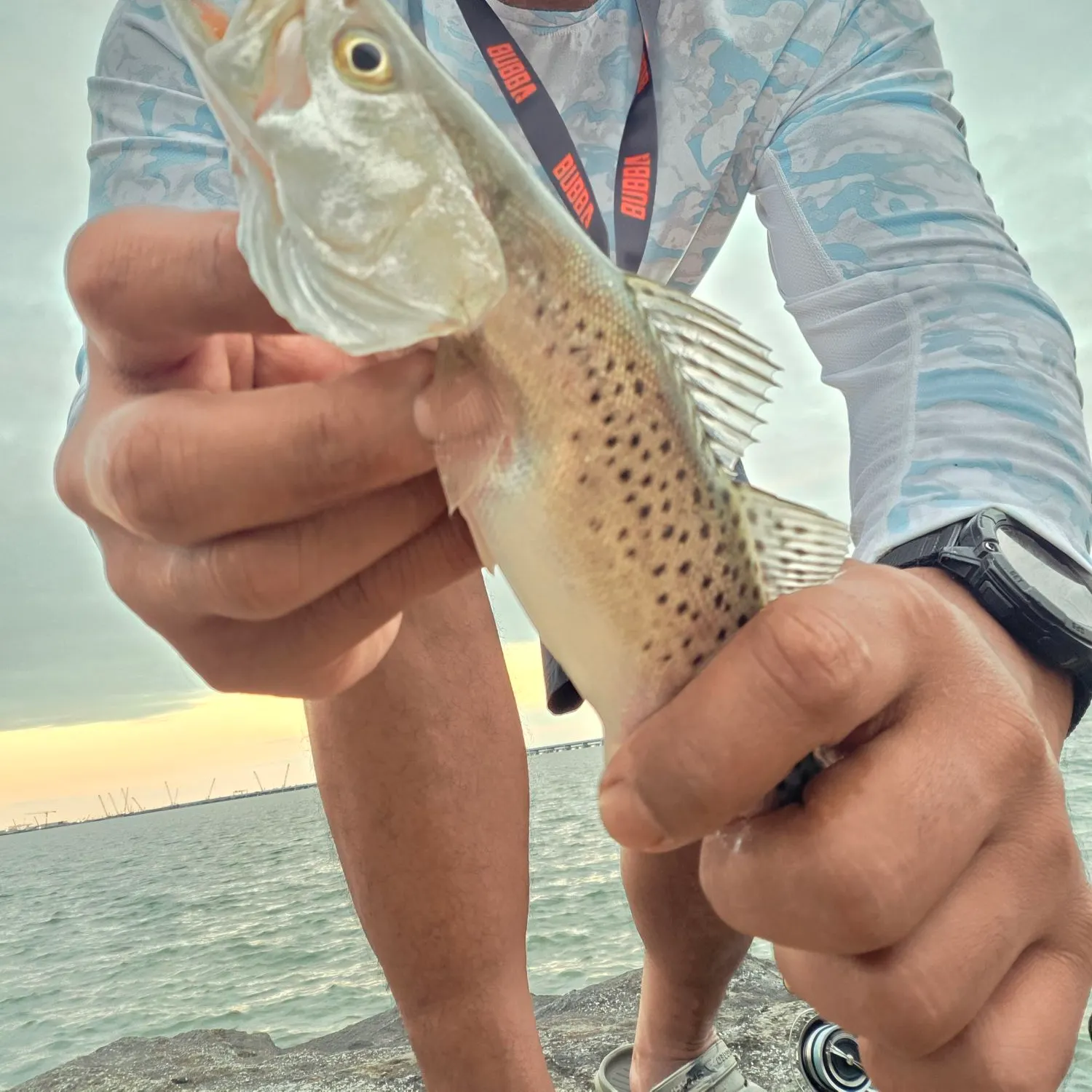 Spotted seatrout caught on Fishbrain