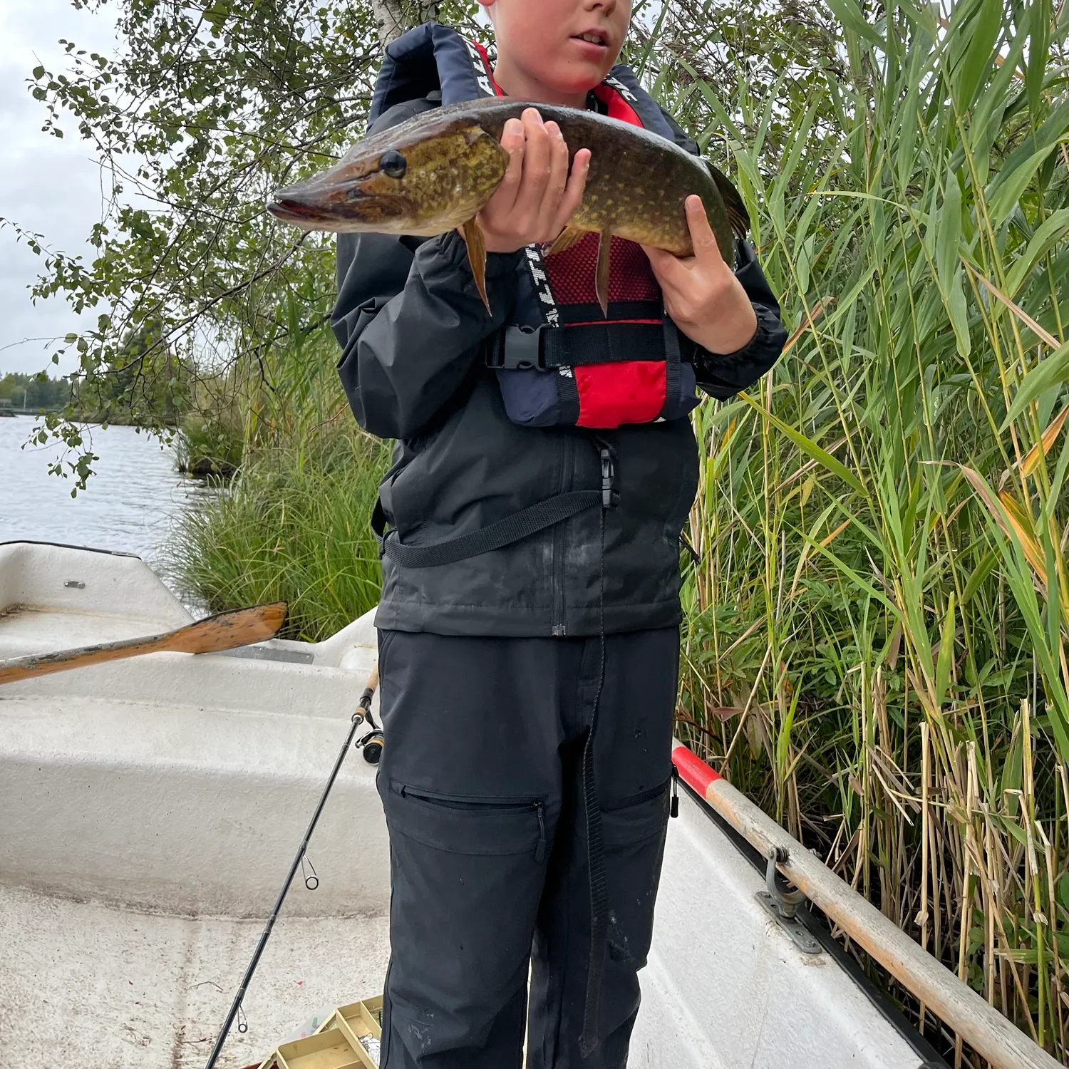 Northern pike caught on Fishbrain