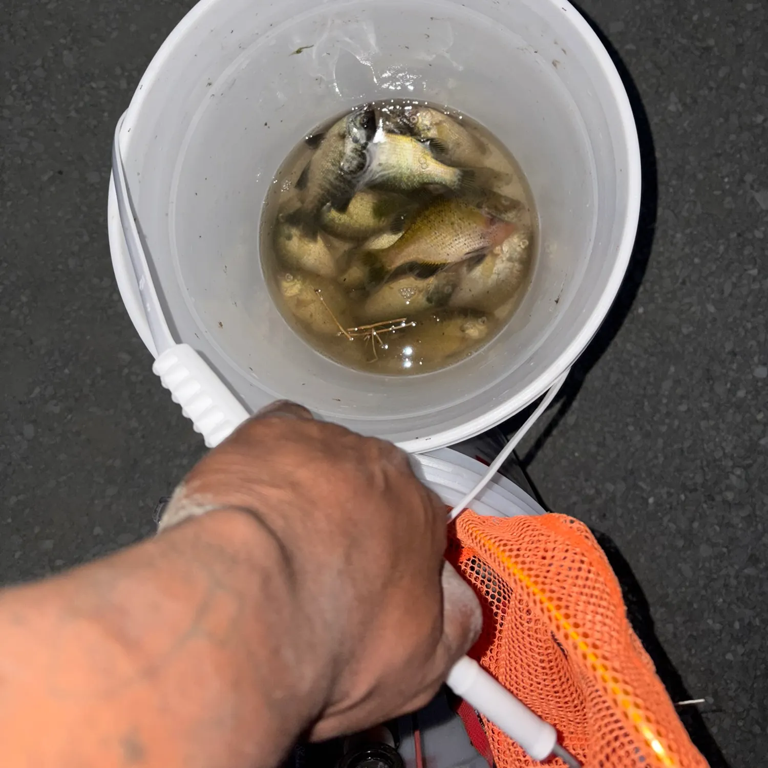 catch