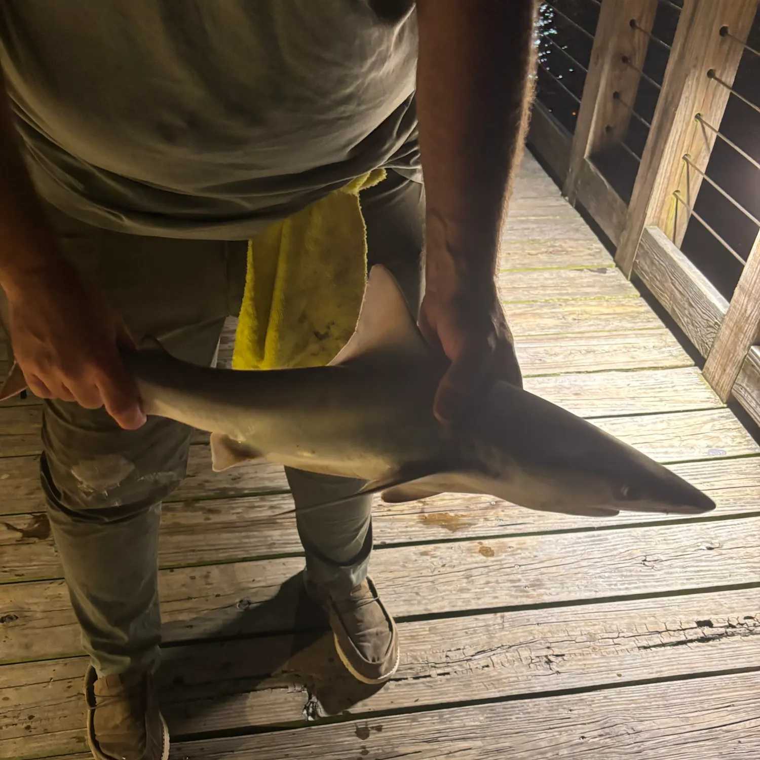 Dusky smooth-hound caught on Fishbrain