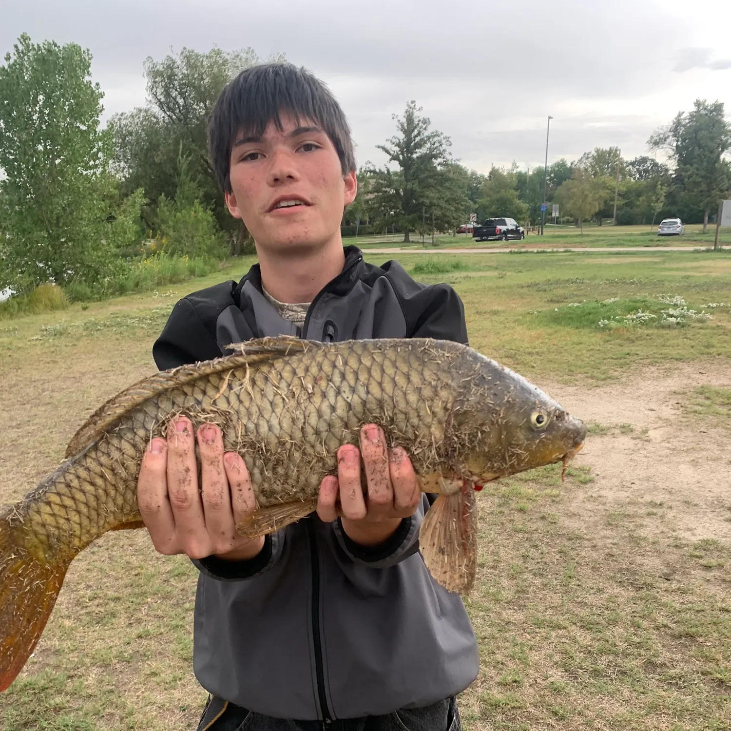 Common carp caught on Fishbrain