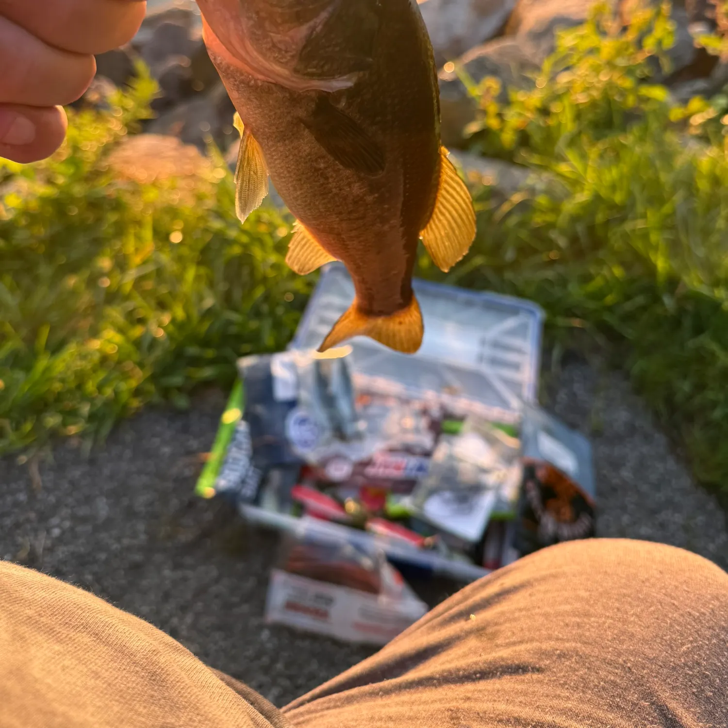 catch