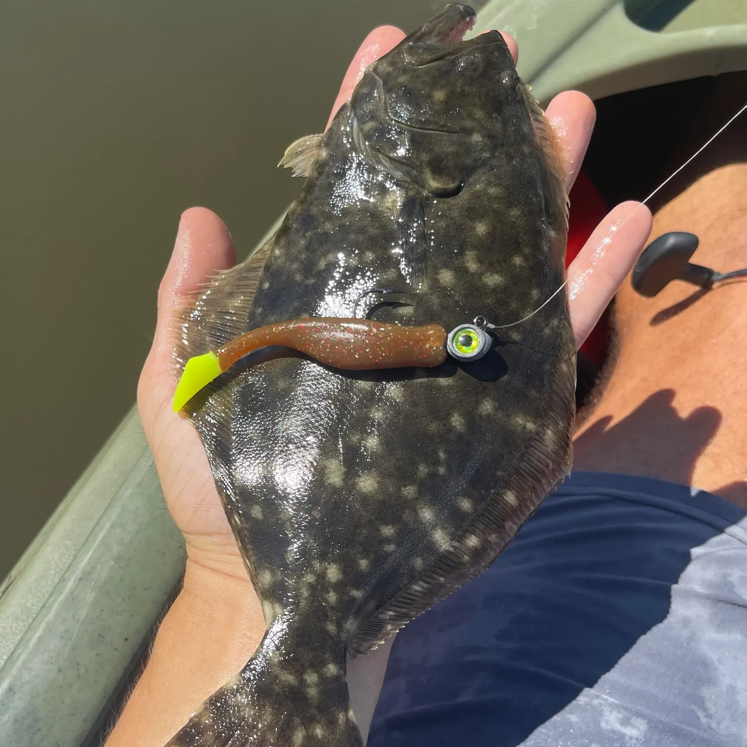 Summer flounder caught on Fishbrain