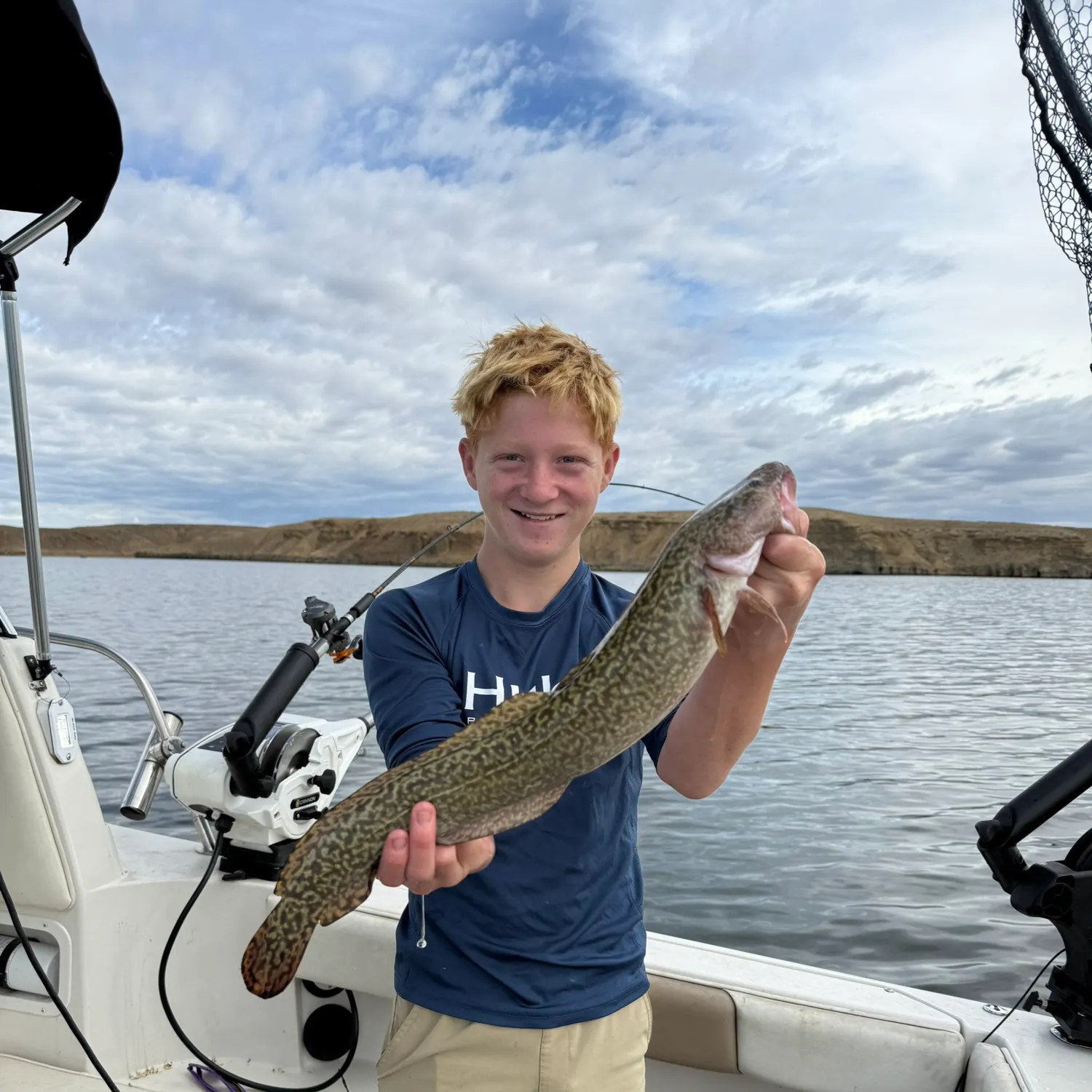 Burbot caught on Fishbrain