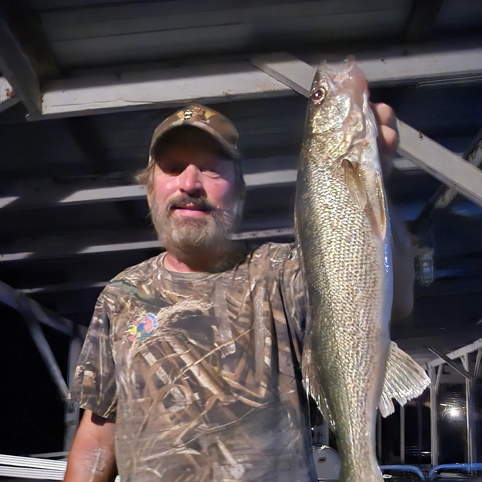 Walleye caught on Fishbrain
