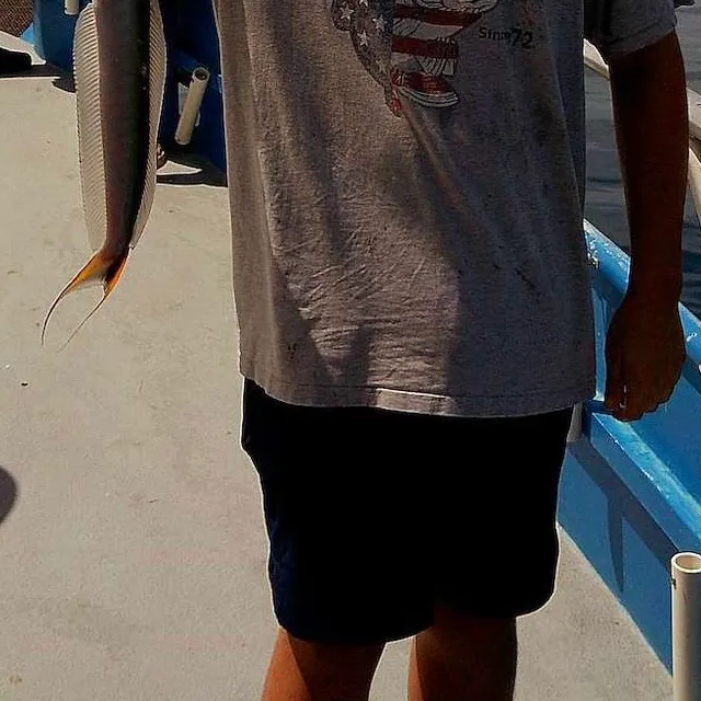 The most recent Sand tilefish catches on Fishbrain
