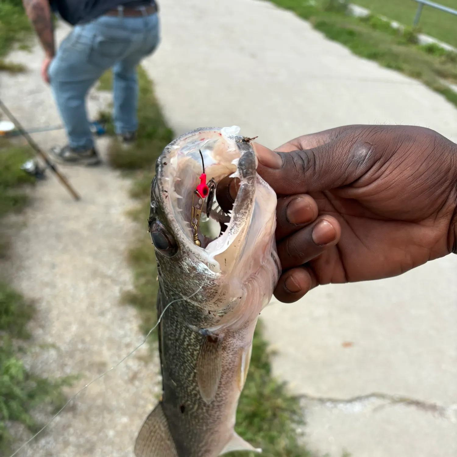 catch
