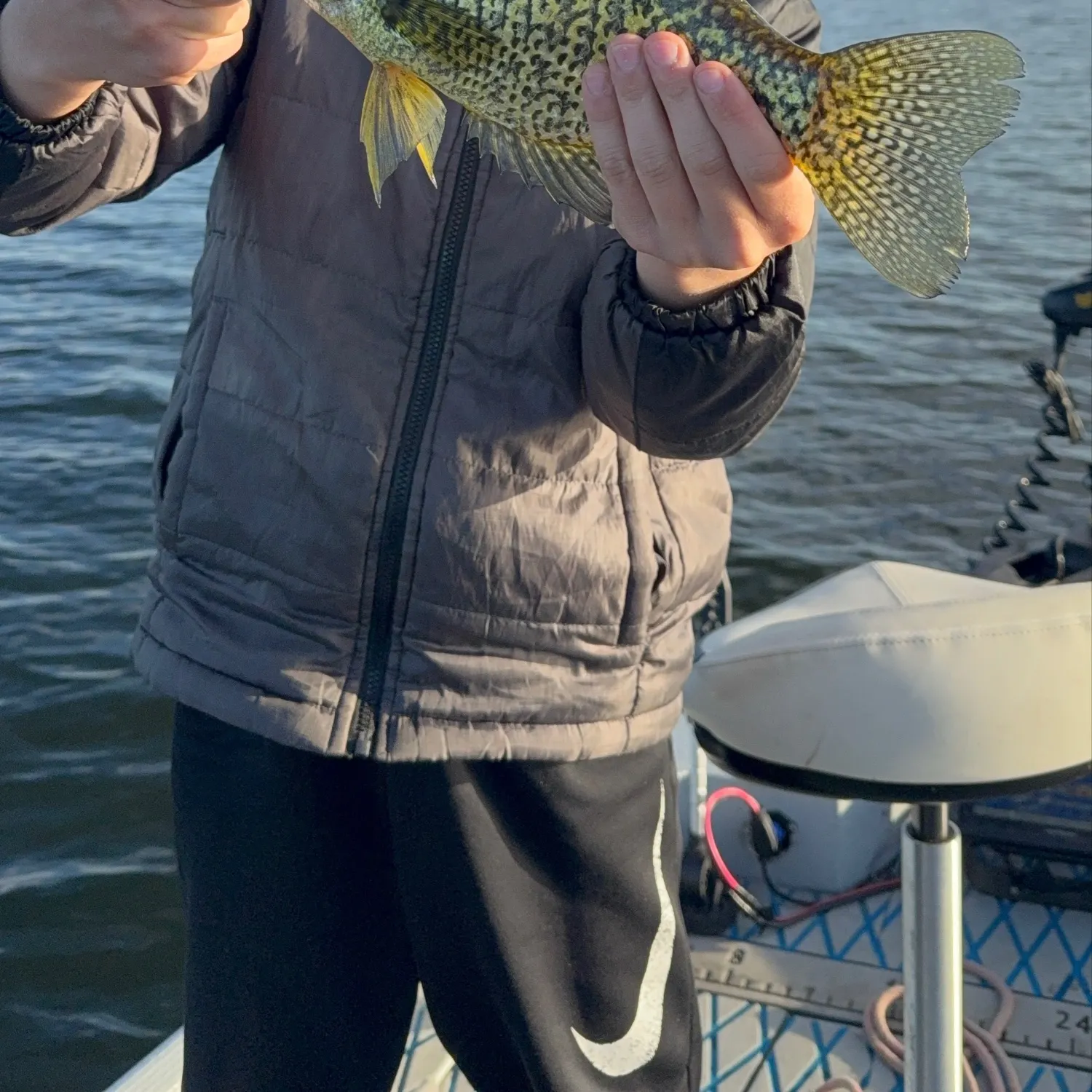 Black crappie caught on Fishbrain