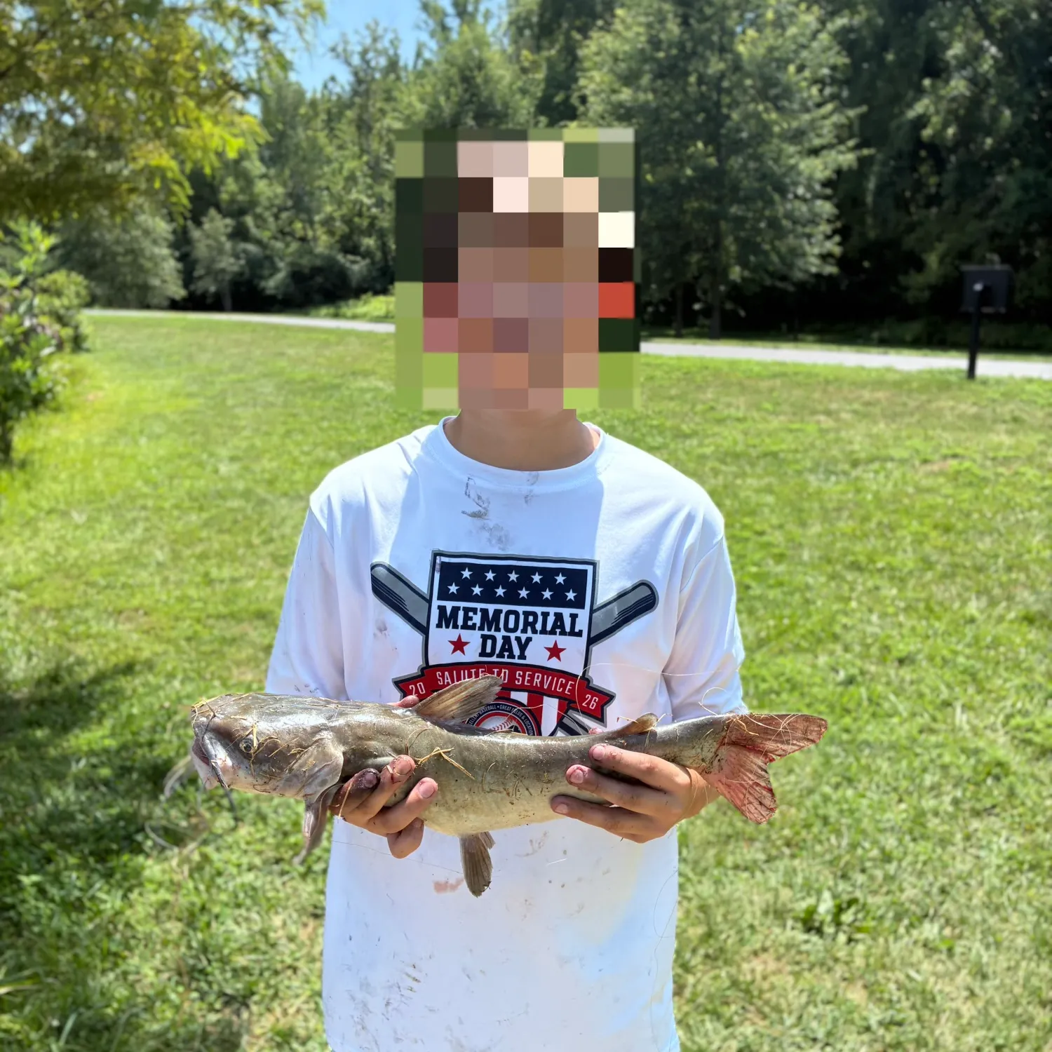 Channel catfish caught on Fishbrain
