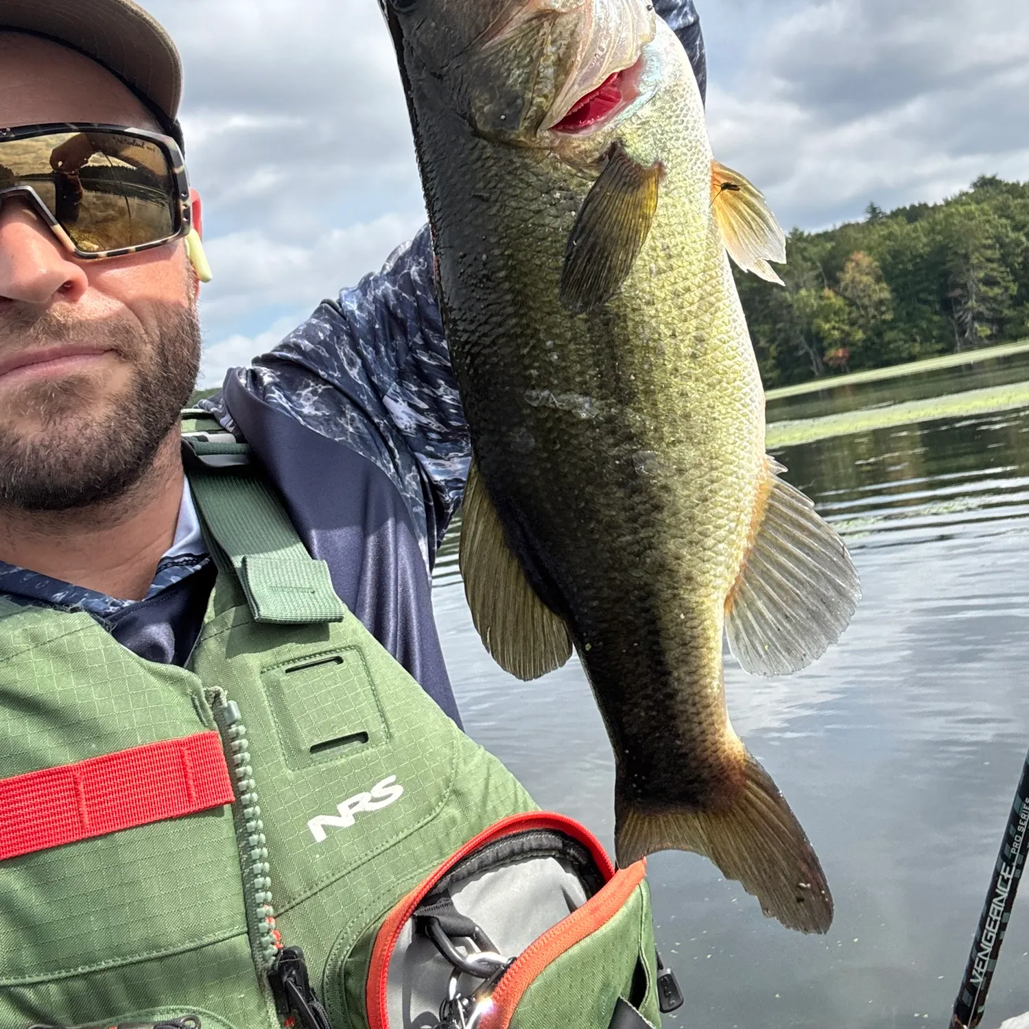 Largemouth bass caught on Fishbrain
