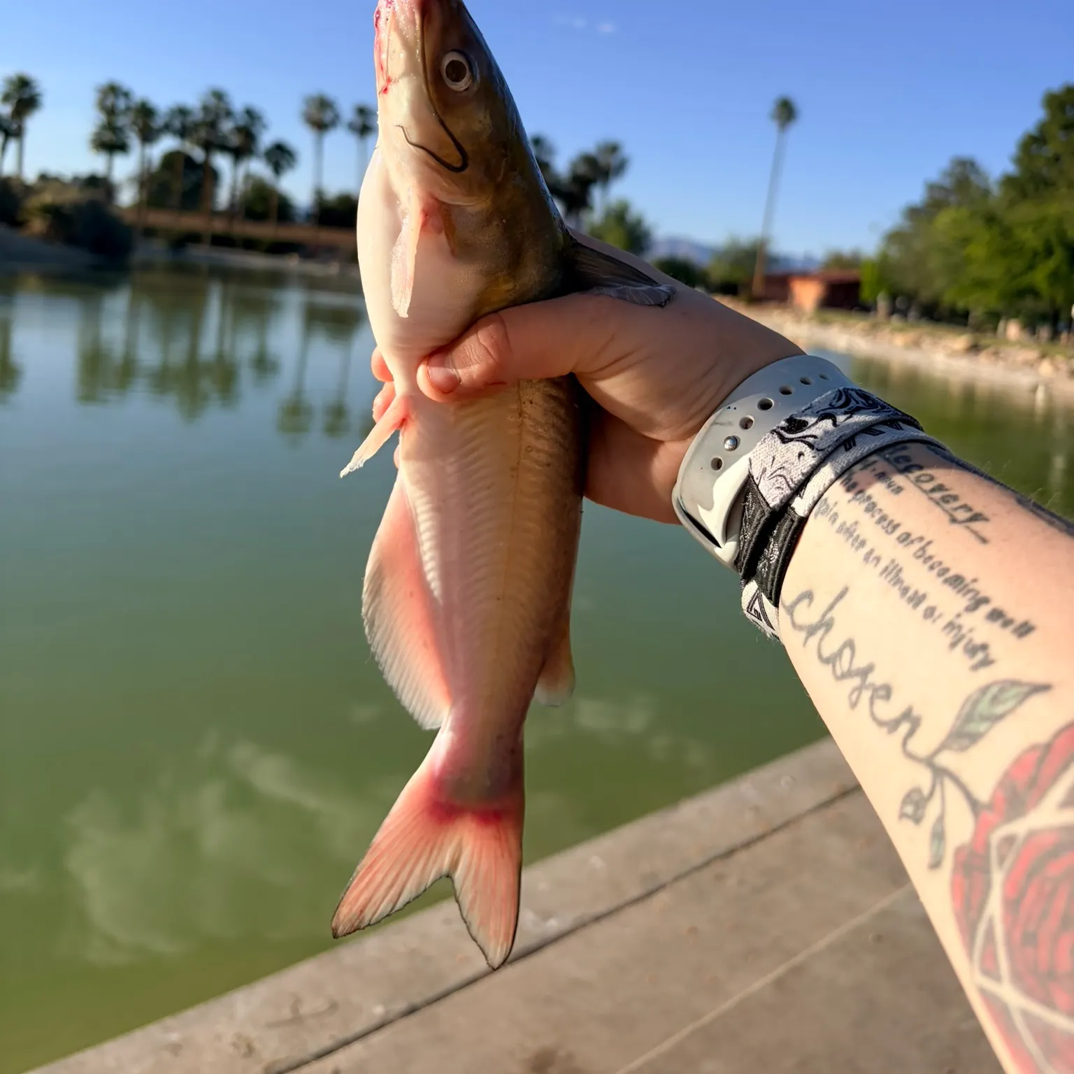 catch