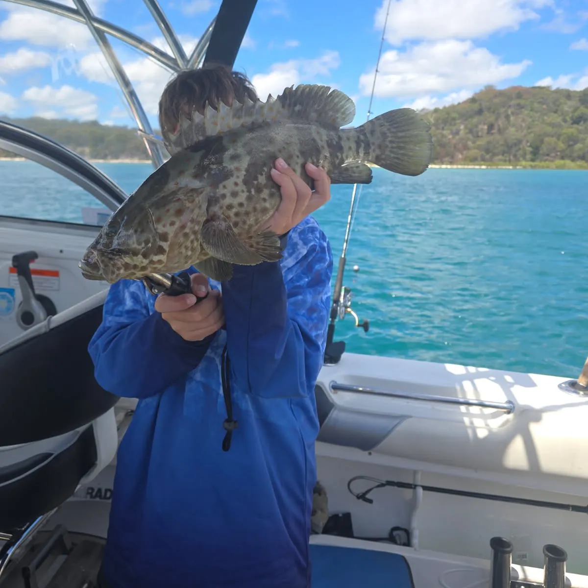 Orange-spotted grouper caught on Fishbrain
