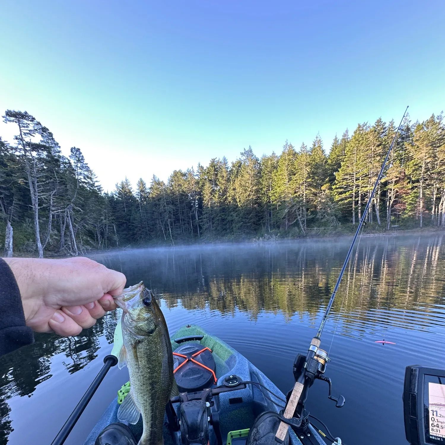 Largemouth bass caught on Fishbrain