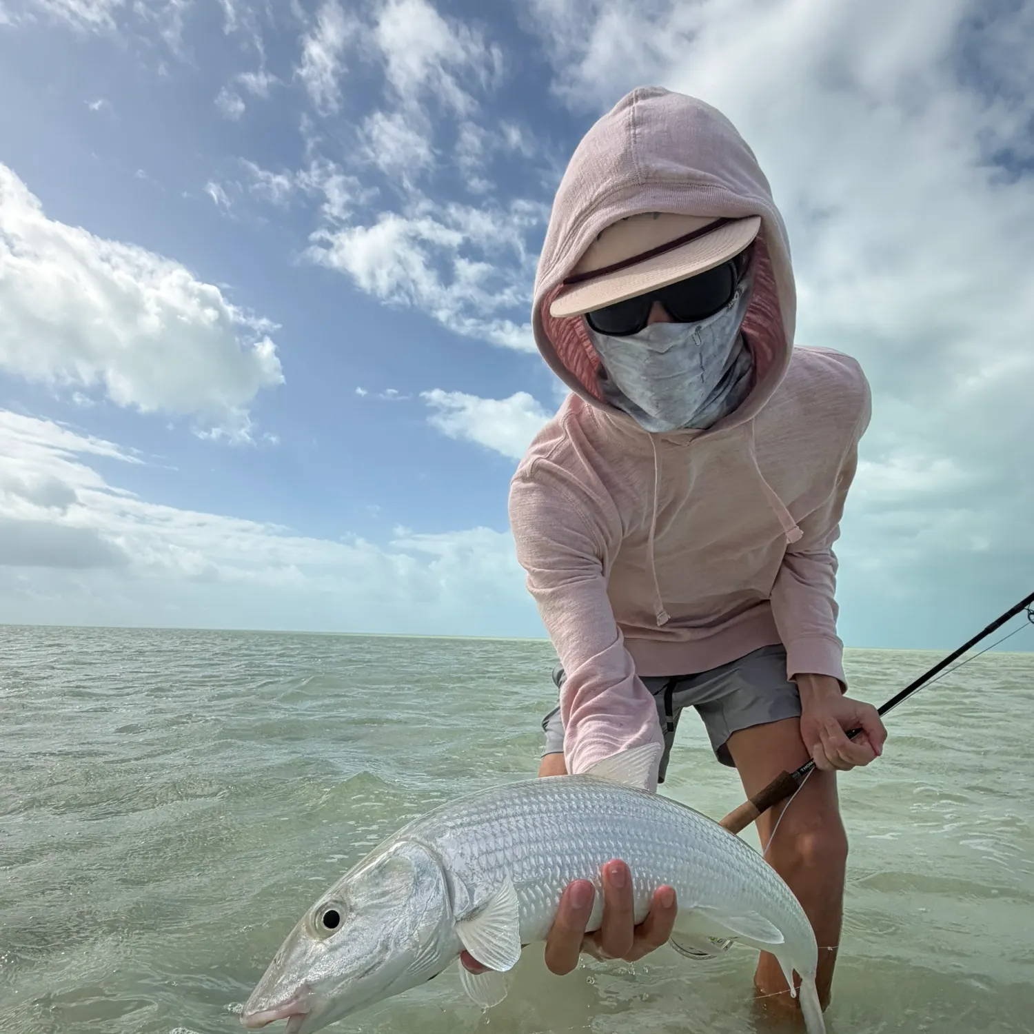 The most recent West Atlantic bonefish catches on Fishbrain