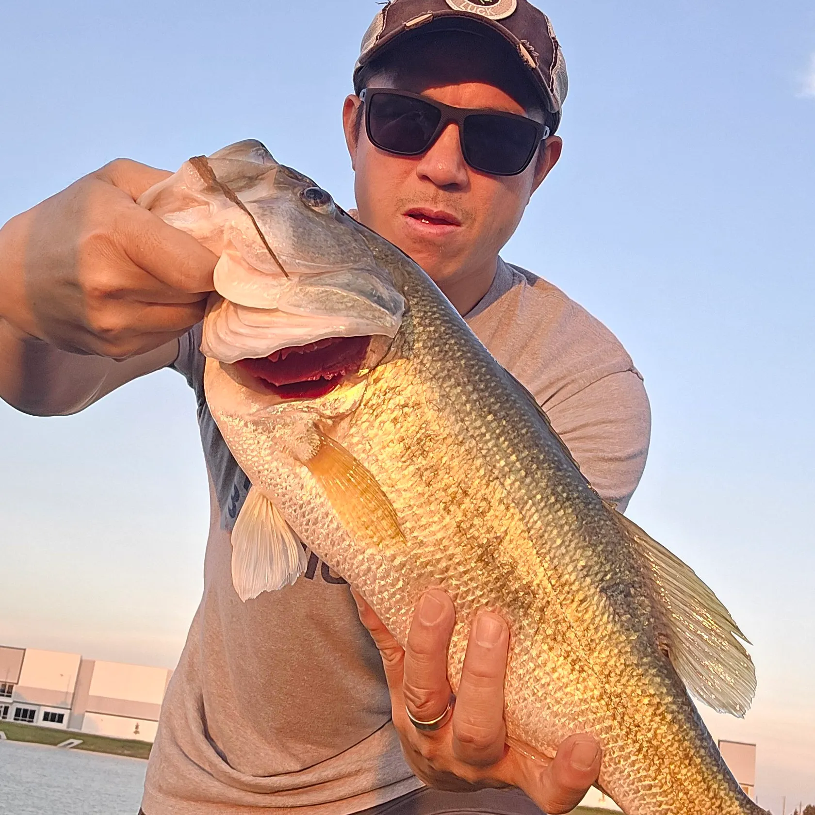 Largemouth bass caught on Fishbrain