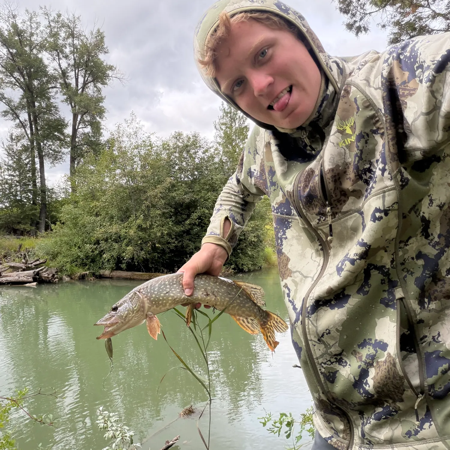 Northern pike caught on Fishbrain