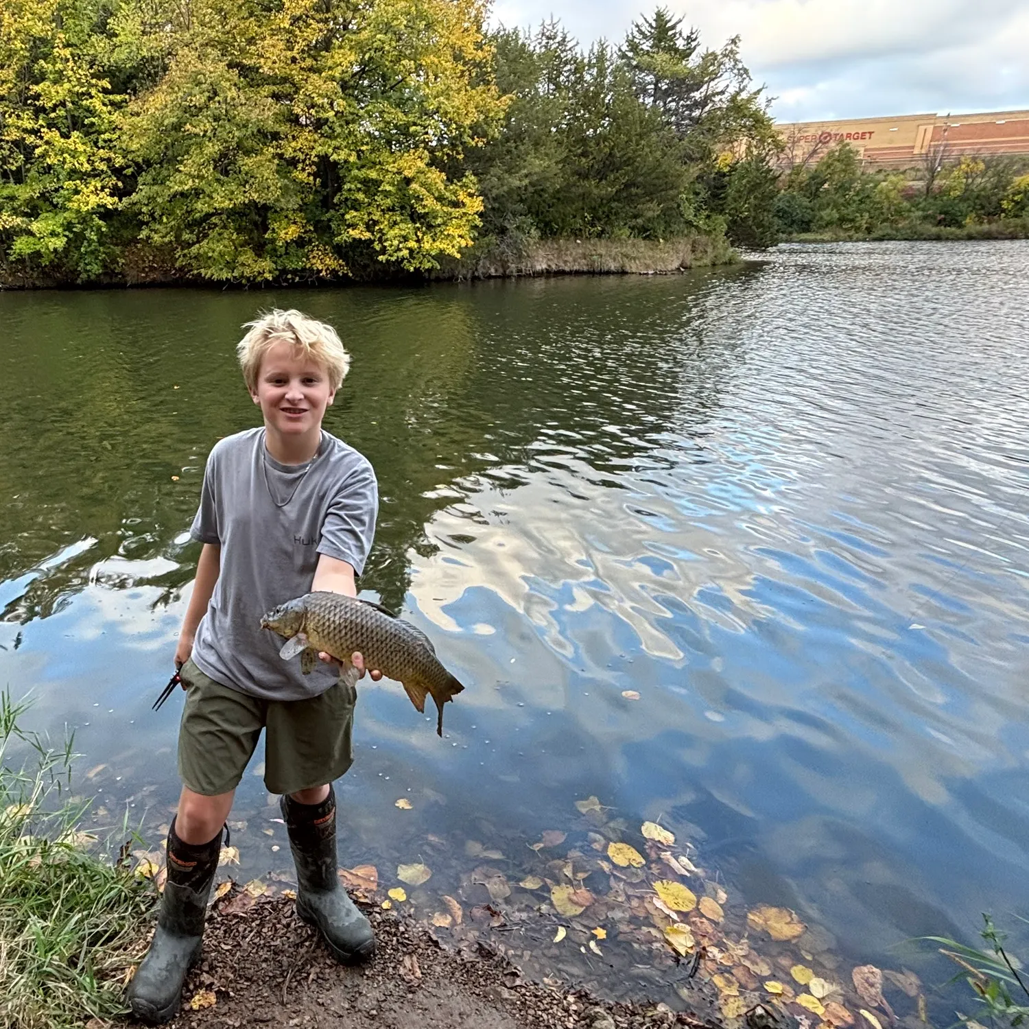 Common carp caught on Fishbrain