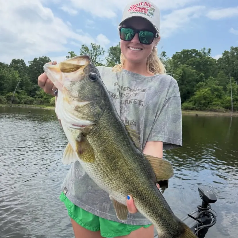 Largemouth bass caught on Fishbrain