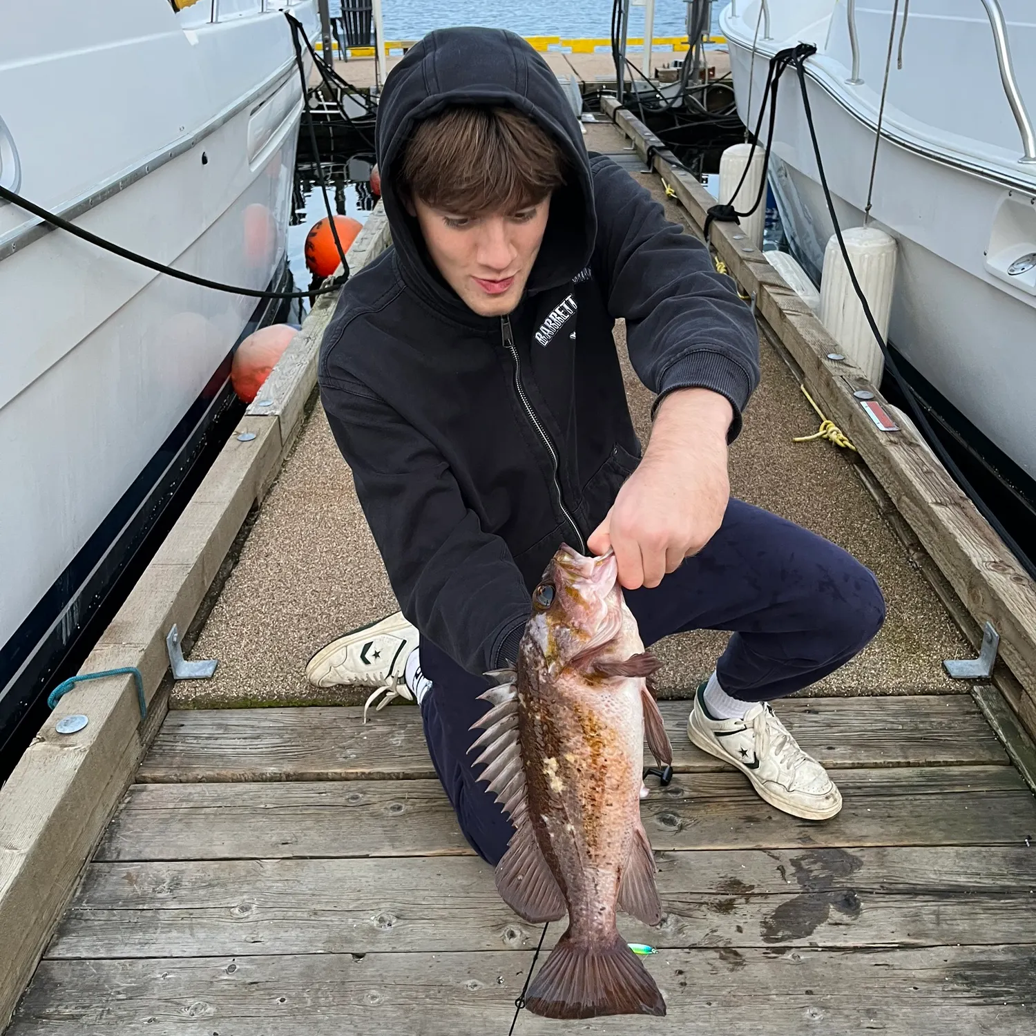 recently logged catches