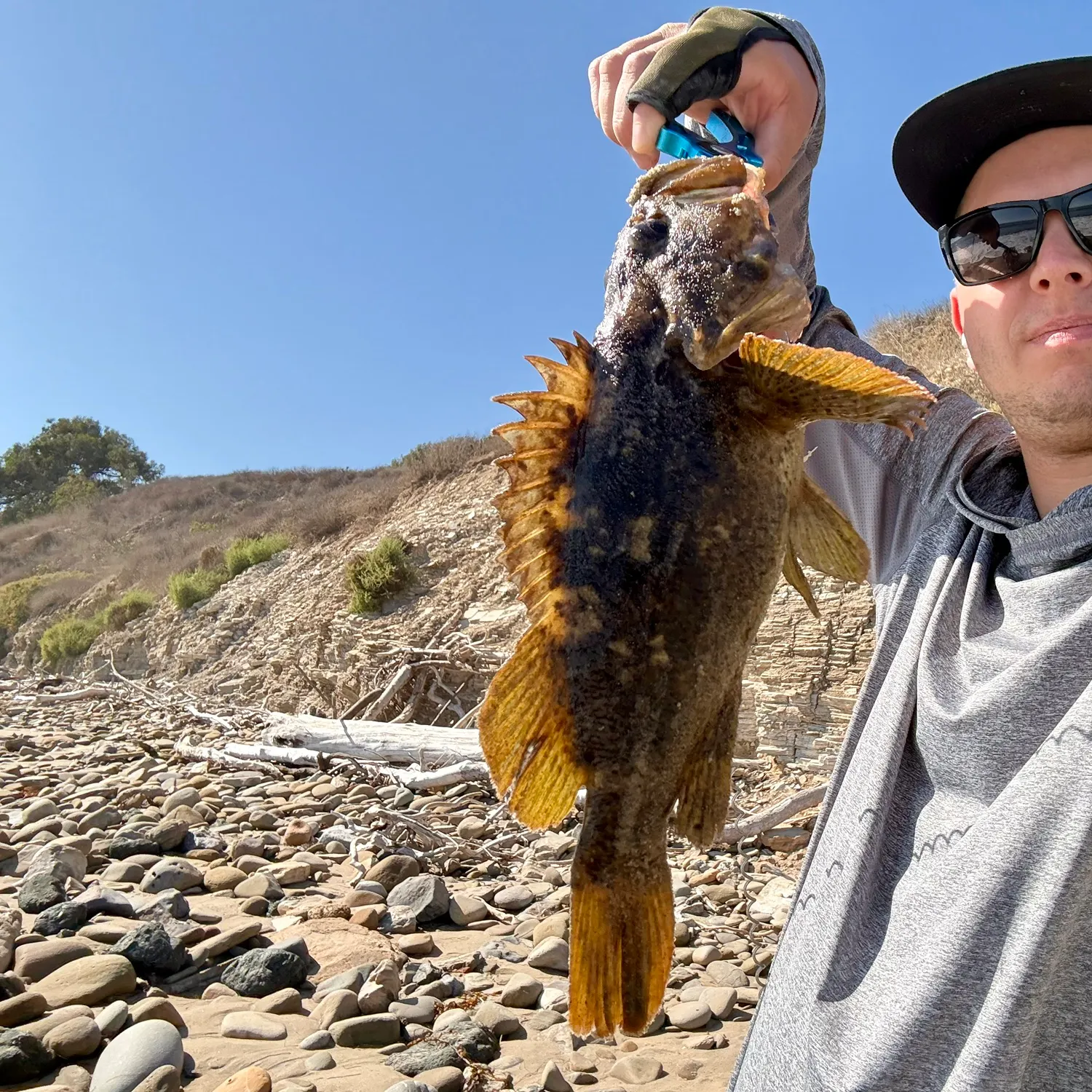 Grass rockfish caught on Fishbrain