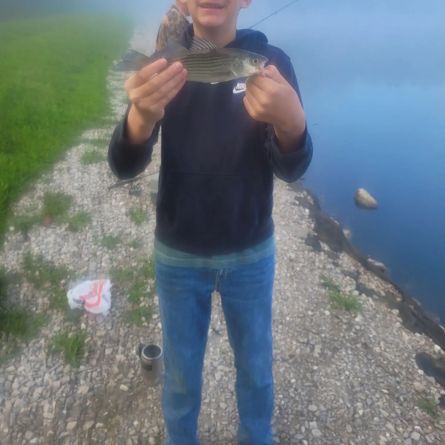 Striped bass caught on Fishbrain