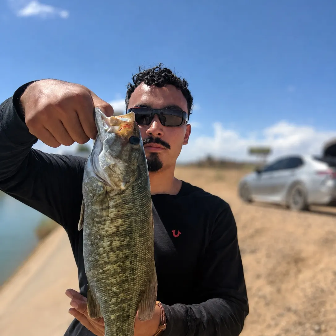 Smallmouth bass caught on Fishbrain