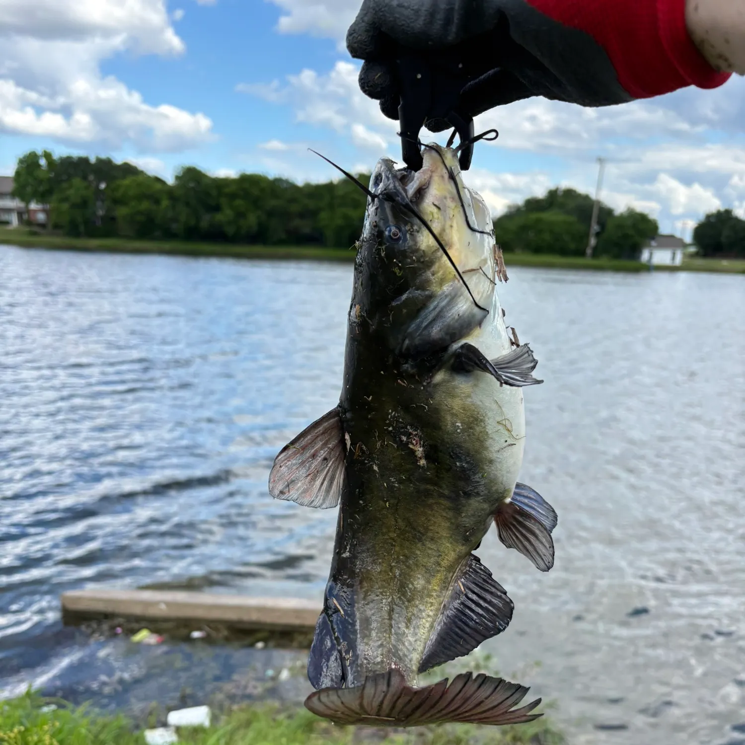 catch