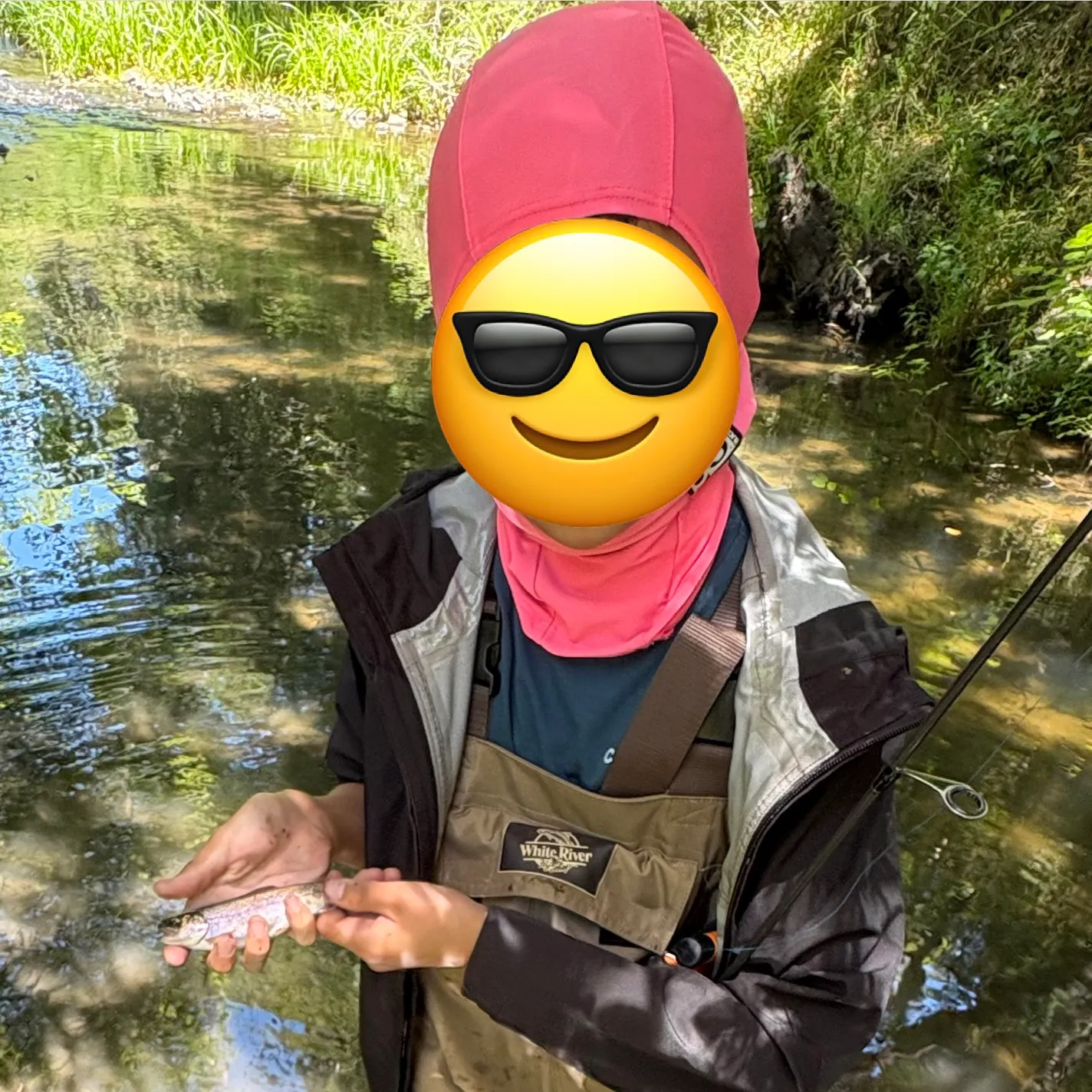 The most recent Coastal rainbow trout catches on Fishbrain