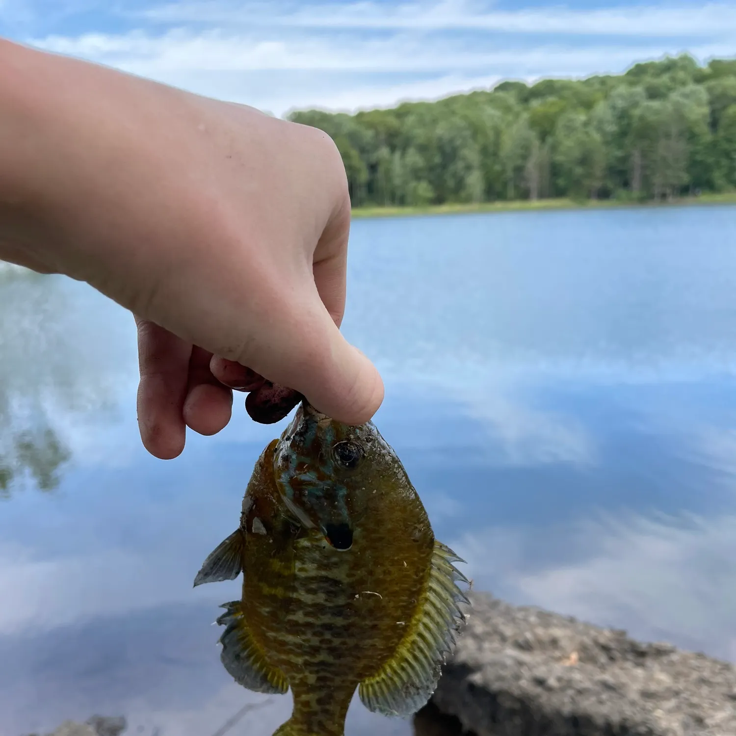 angler catch