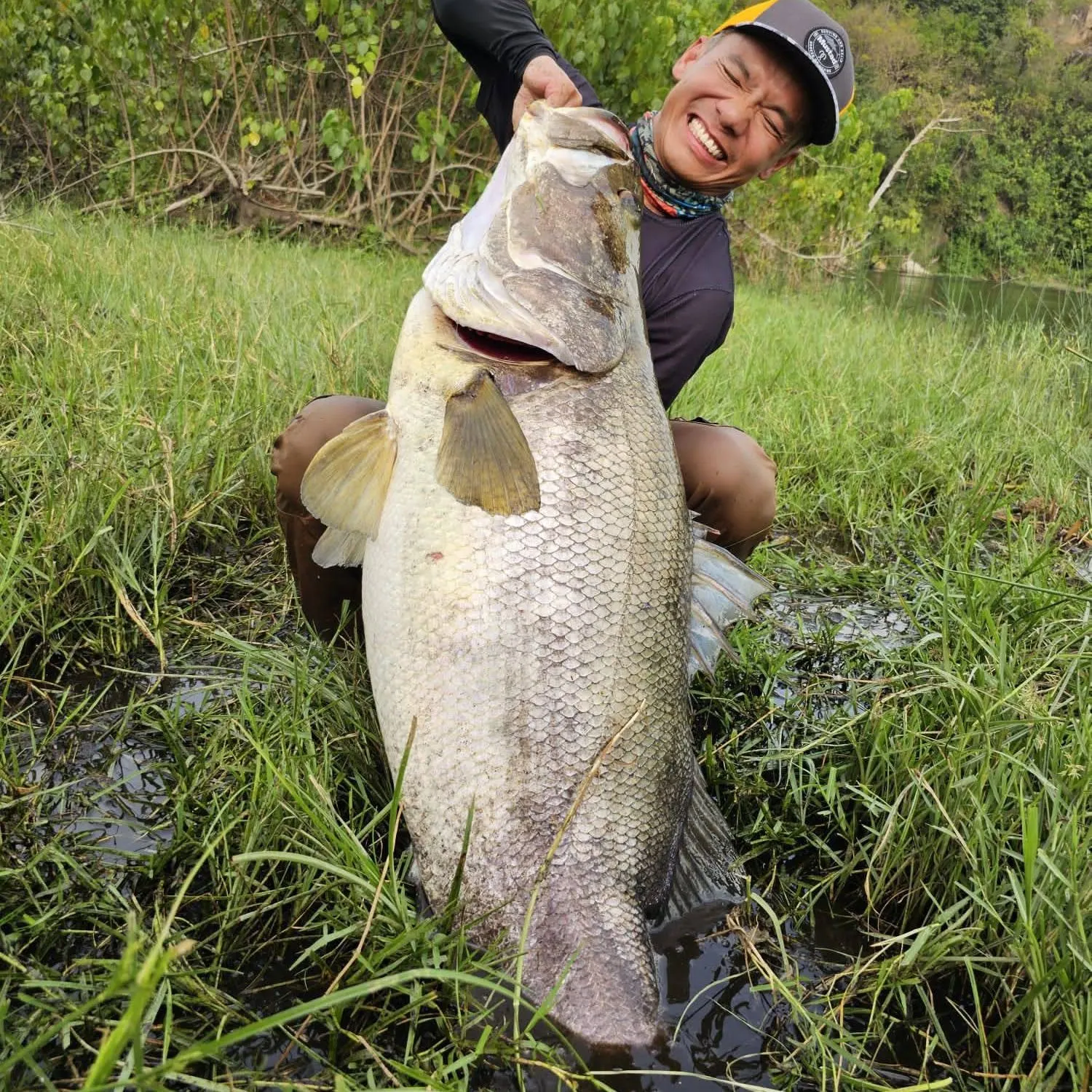 most liked catch image
