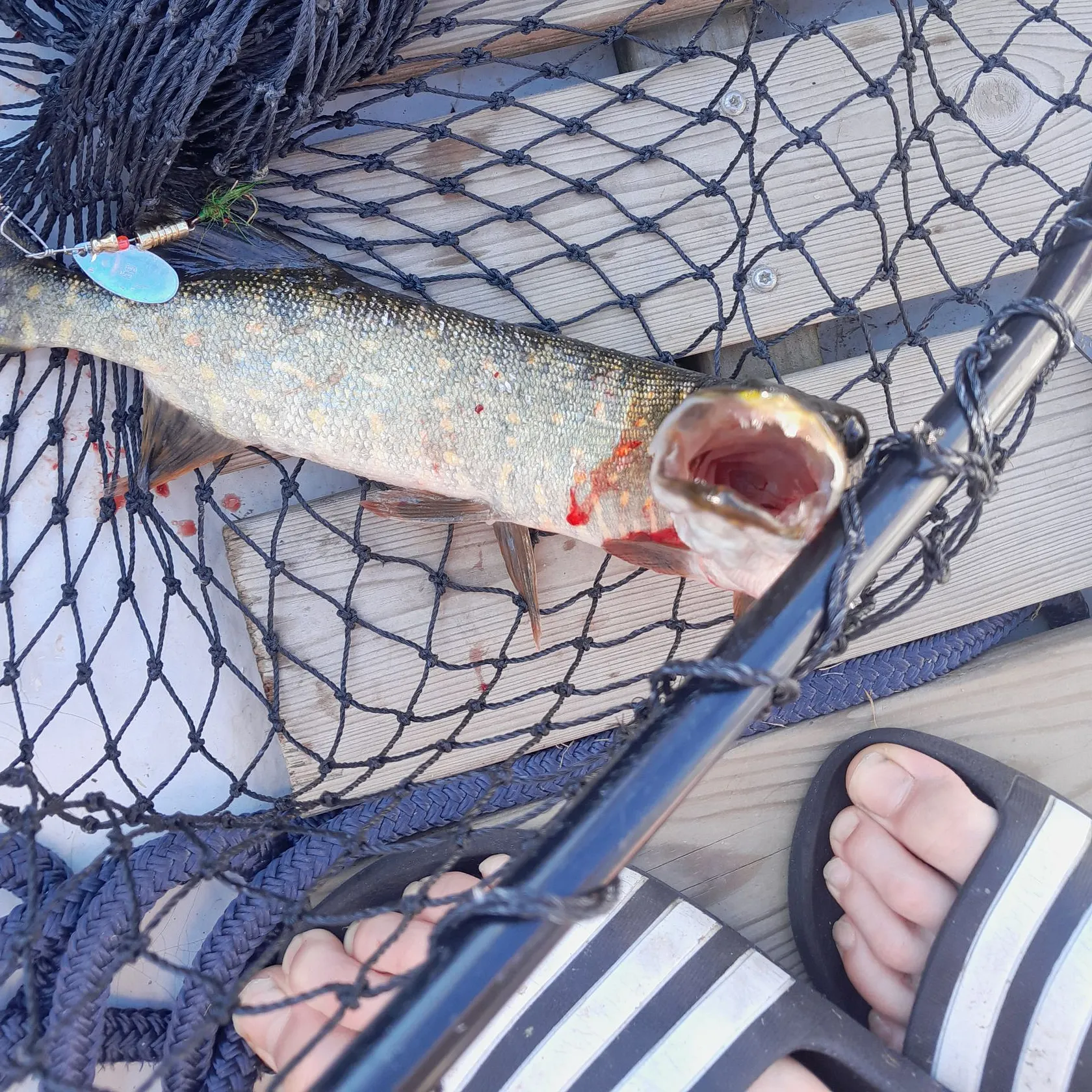 catch