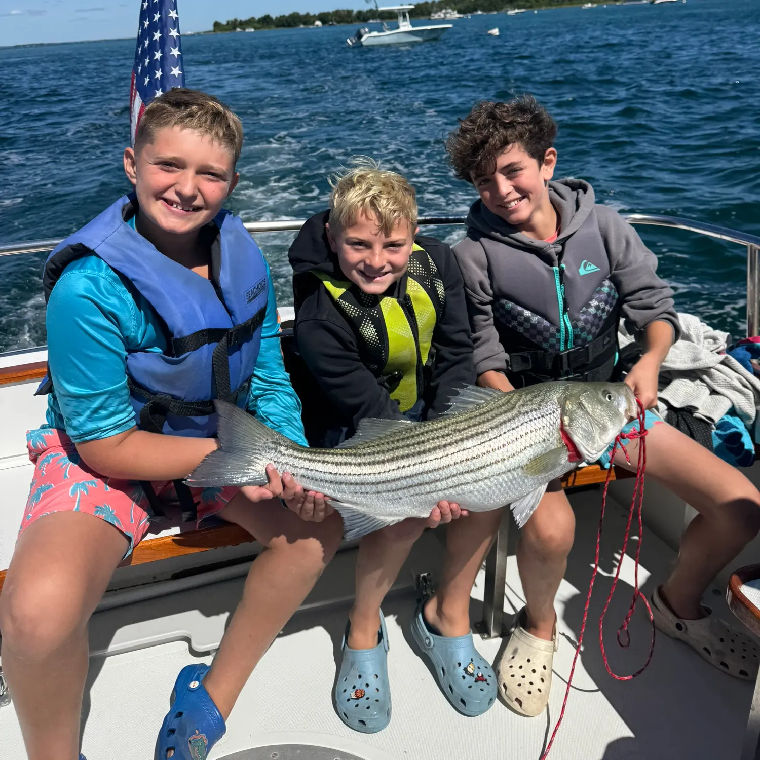 Striped bass caught on Fishbrain