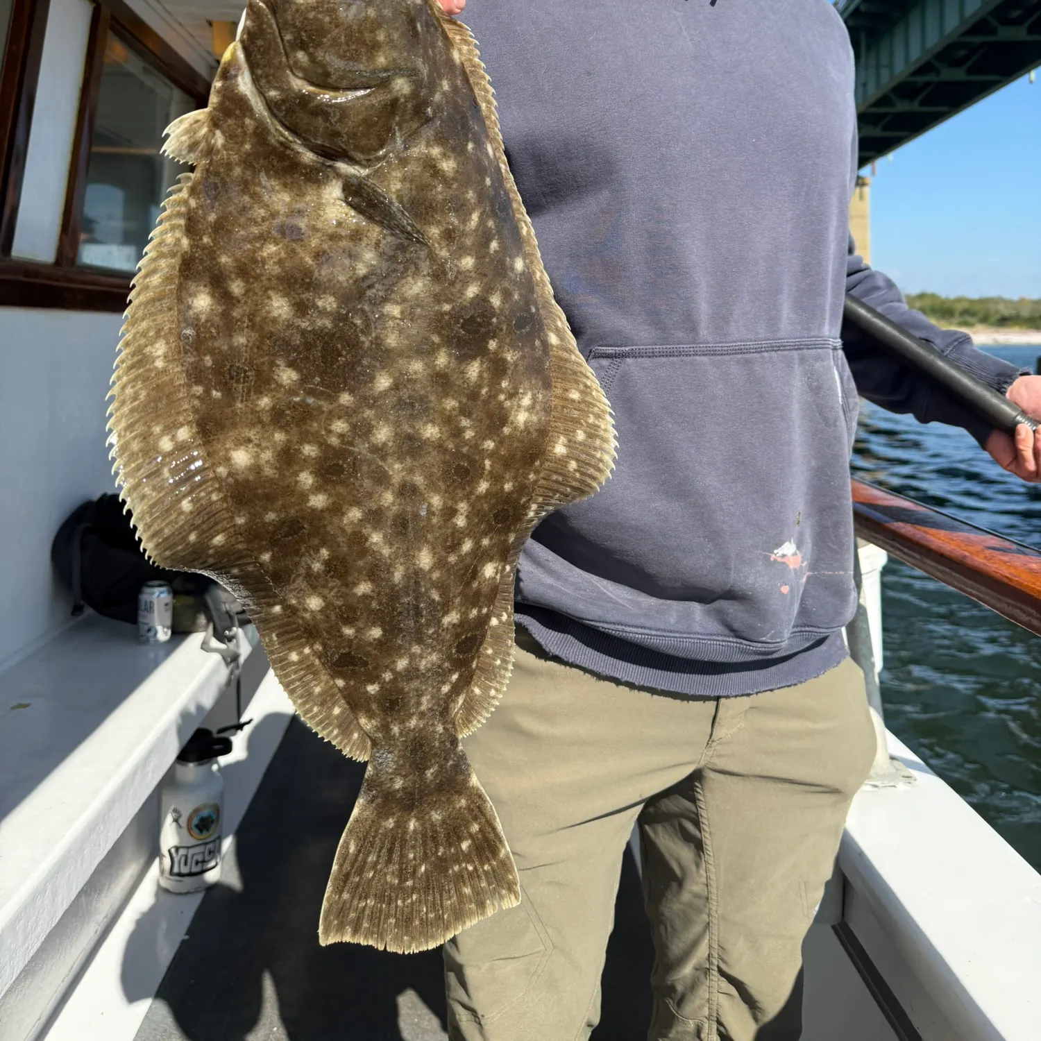 Summer flounder caught on Fishbrain