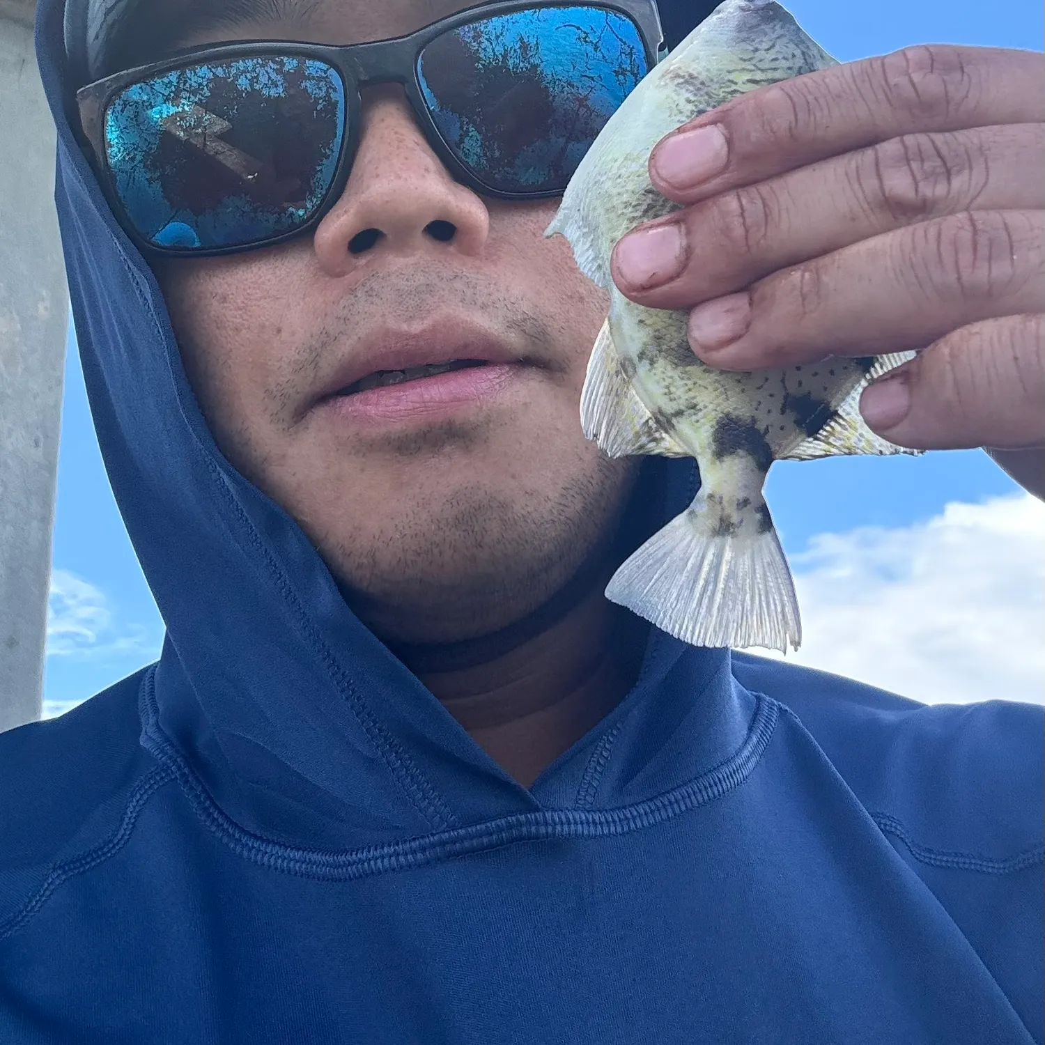 White grunt caught on Fishbrain