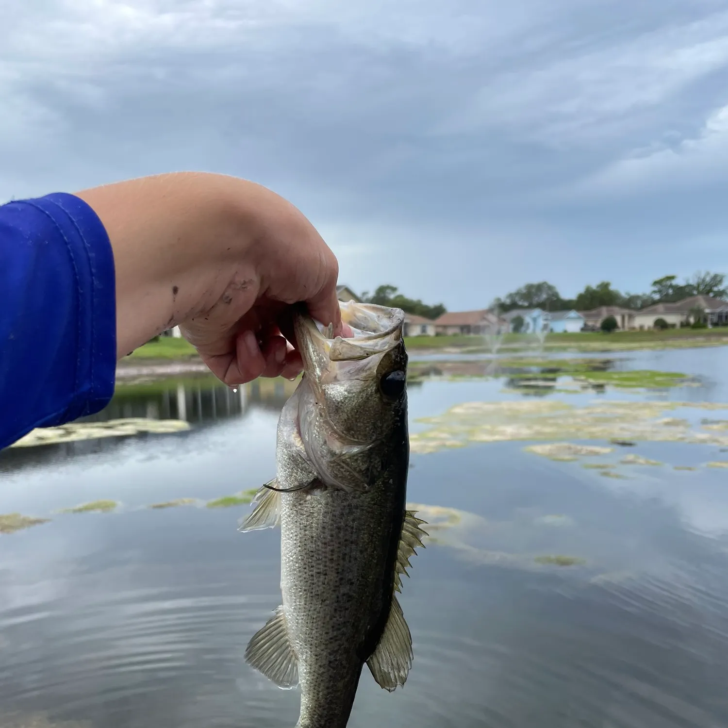 angler catch