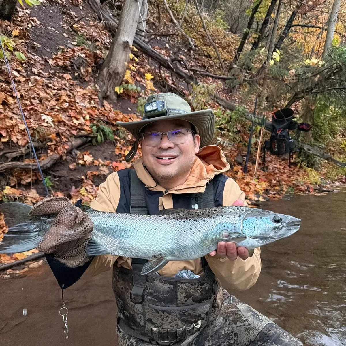 The most recent Atlantic salmon catches on Fishbrain
