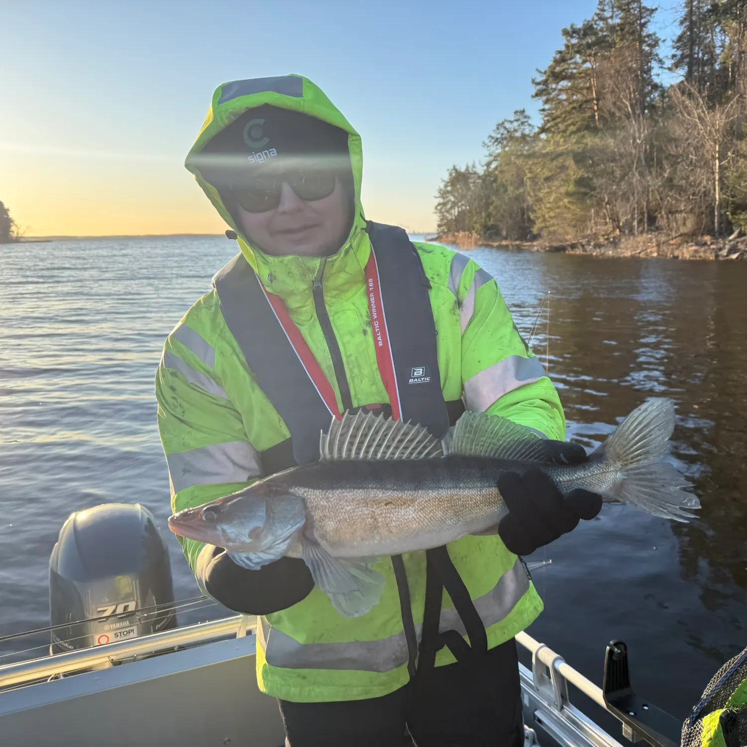 The most recent Zander catches on Fishbrain