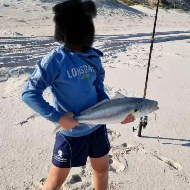 The most recent Western Australian salmon catches on Fishbrain