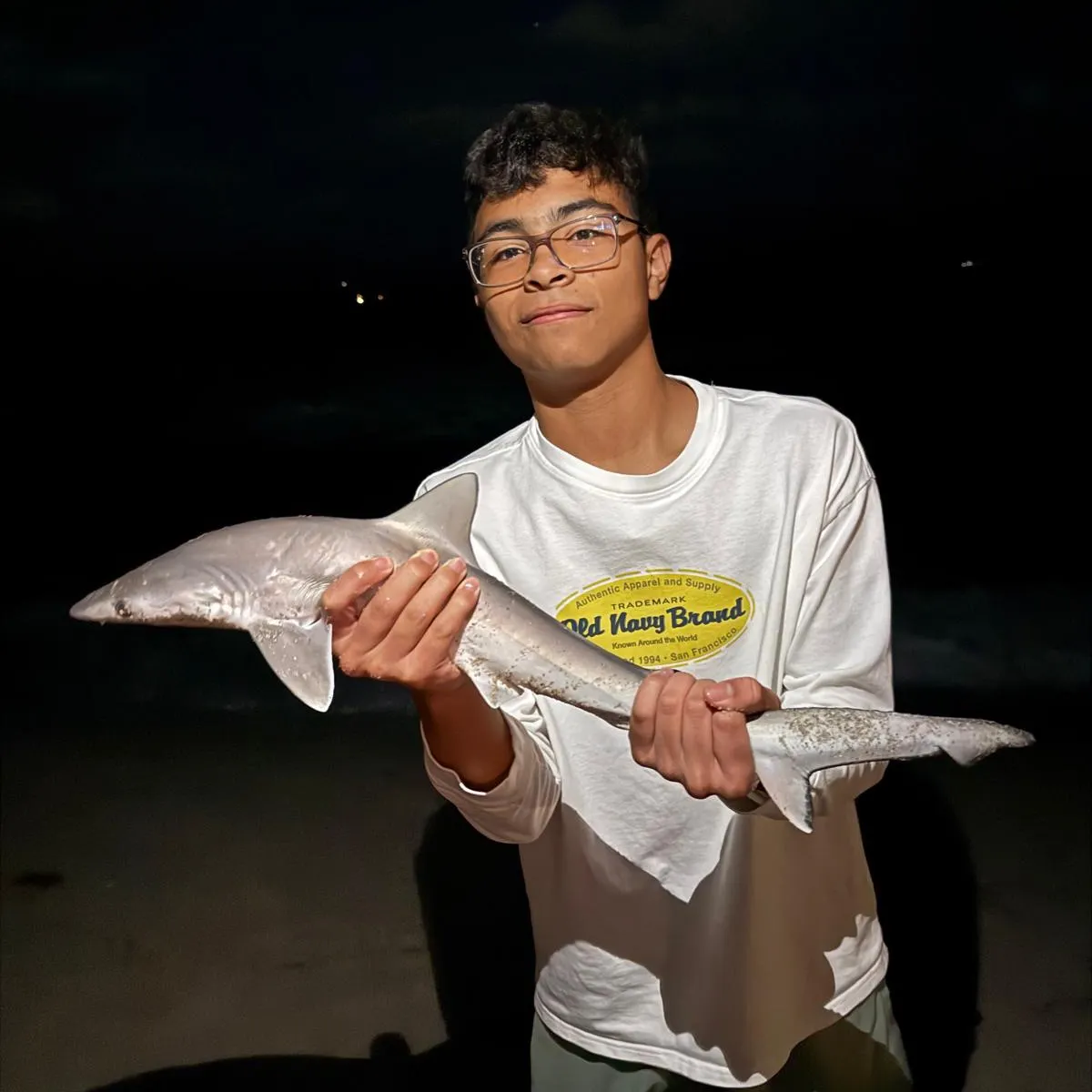 The most recent Atlantic sharpnose shark catches on Fishbrain
