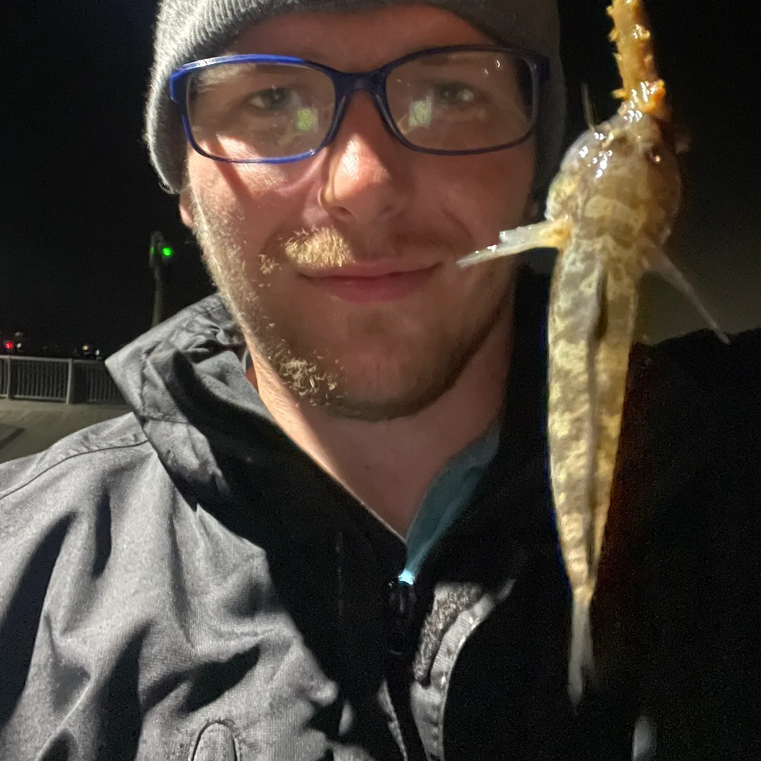 The most recent Dragonet catches on Fishbrain