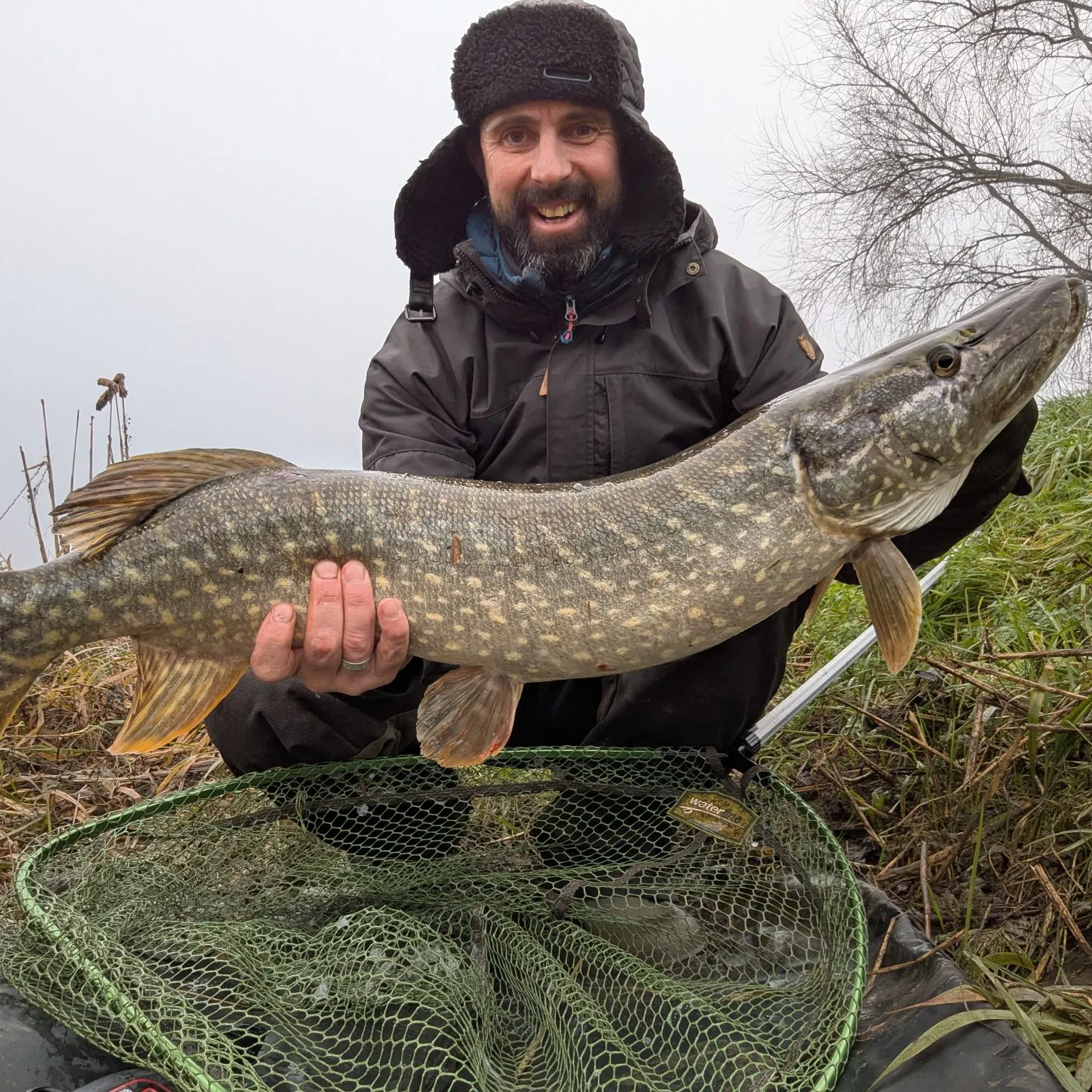 angler catch