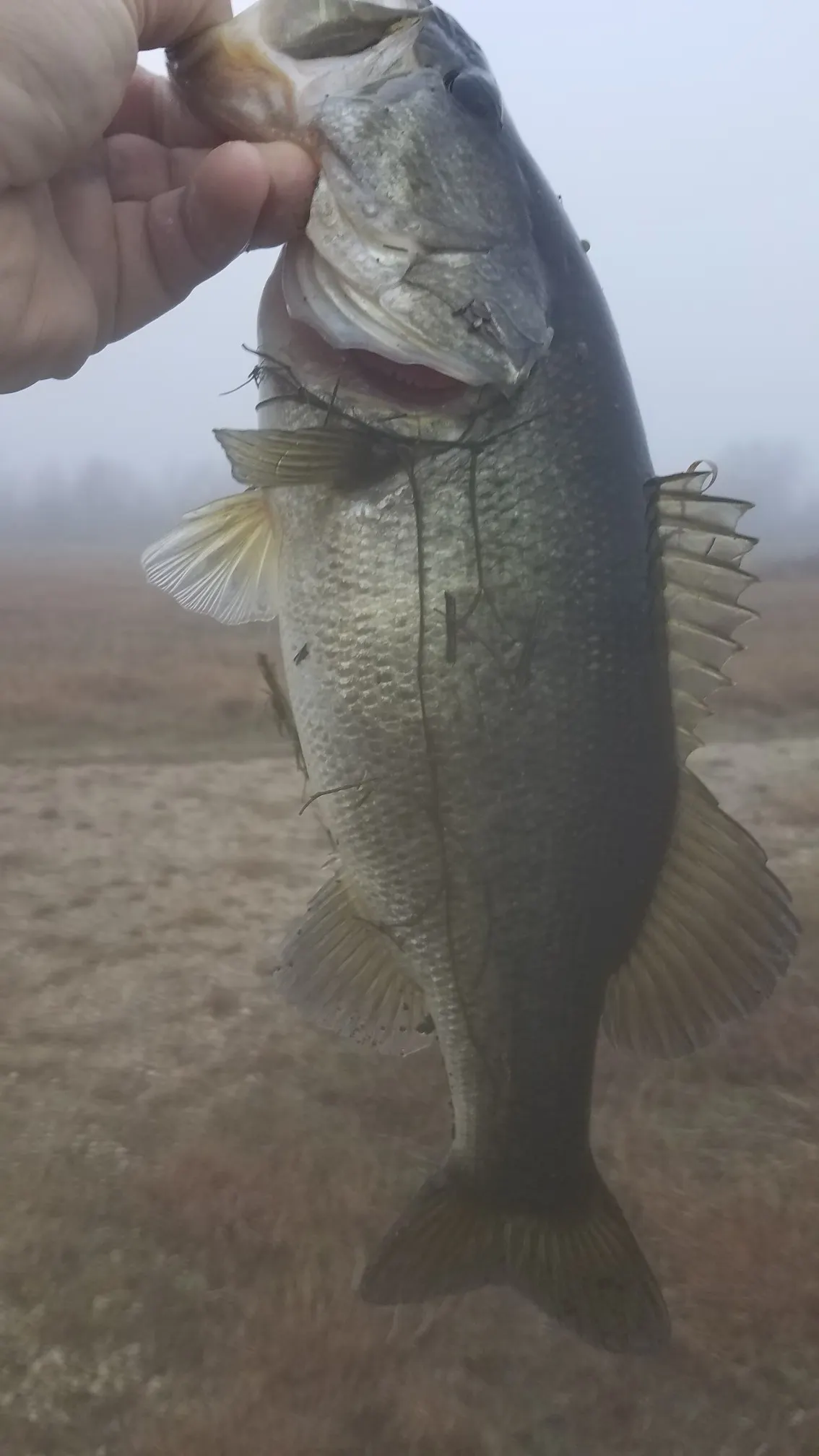 Post image from agraham5897