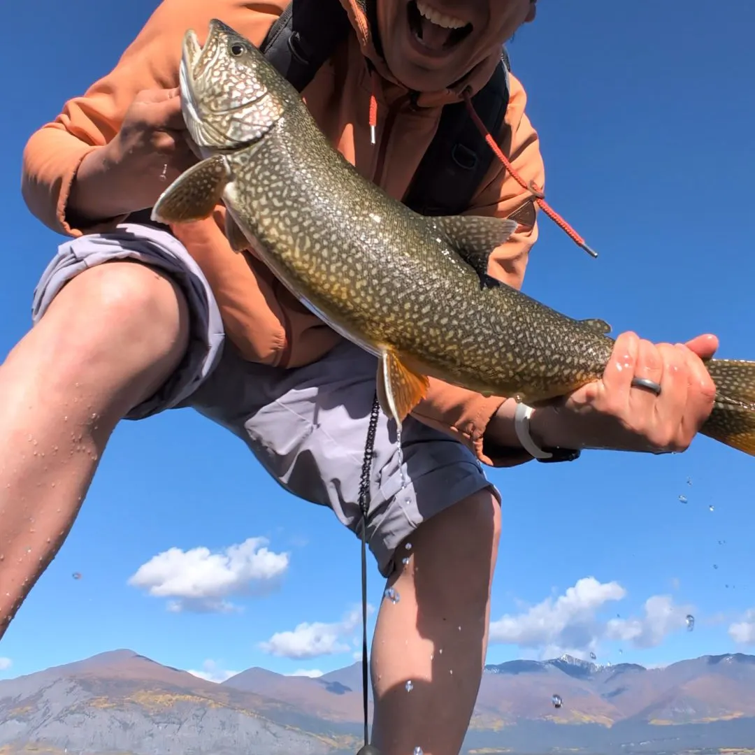 Lake char caught on Fishbrain