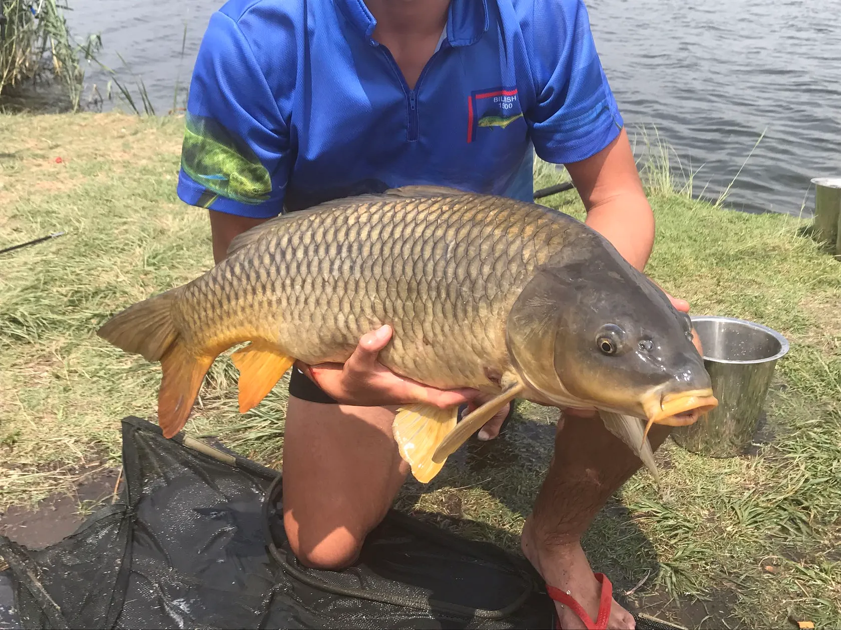 Post image from jbreitenbach913