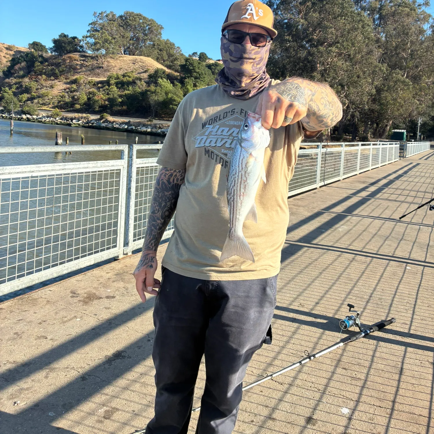 recently logged catches