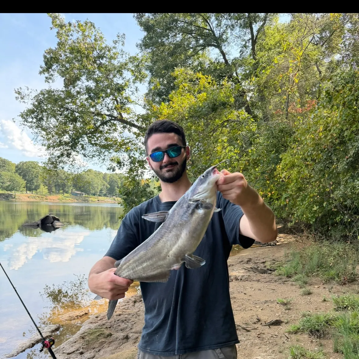 Blue catfish caught on Fishbrain