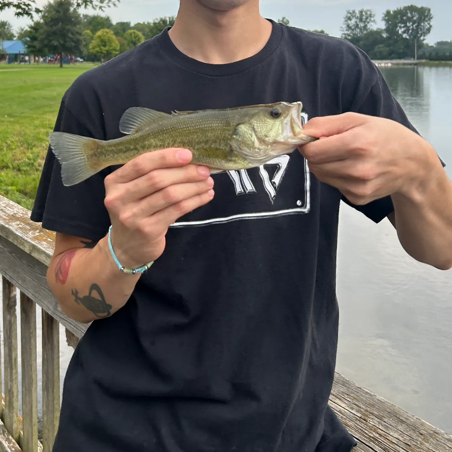 Largemouth bass caught on Fishbrain