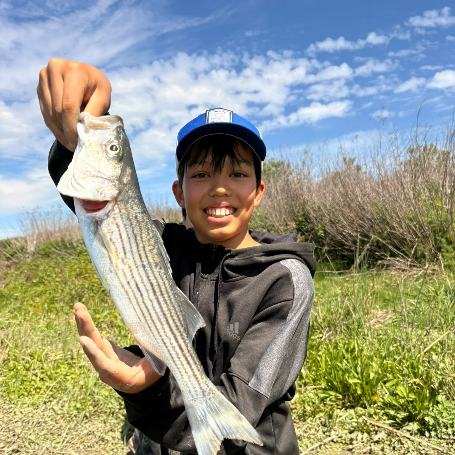 The most recent Striped bass catches on Fishbrain