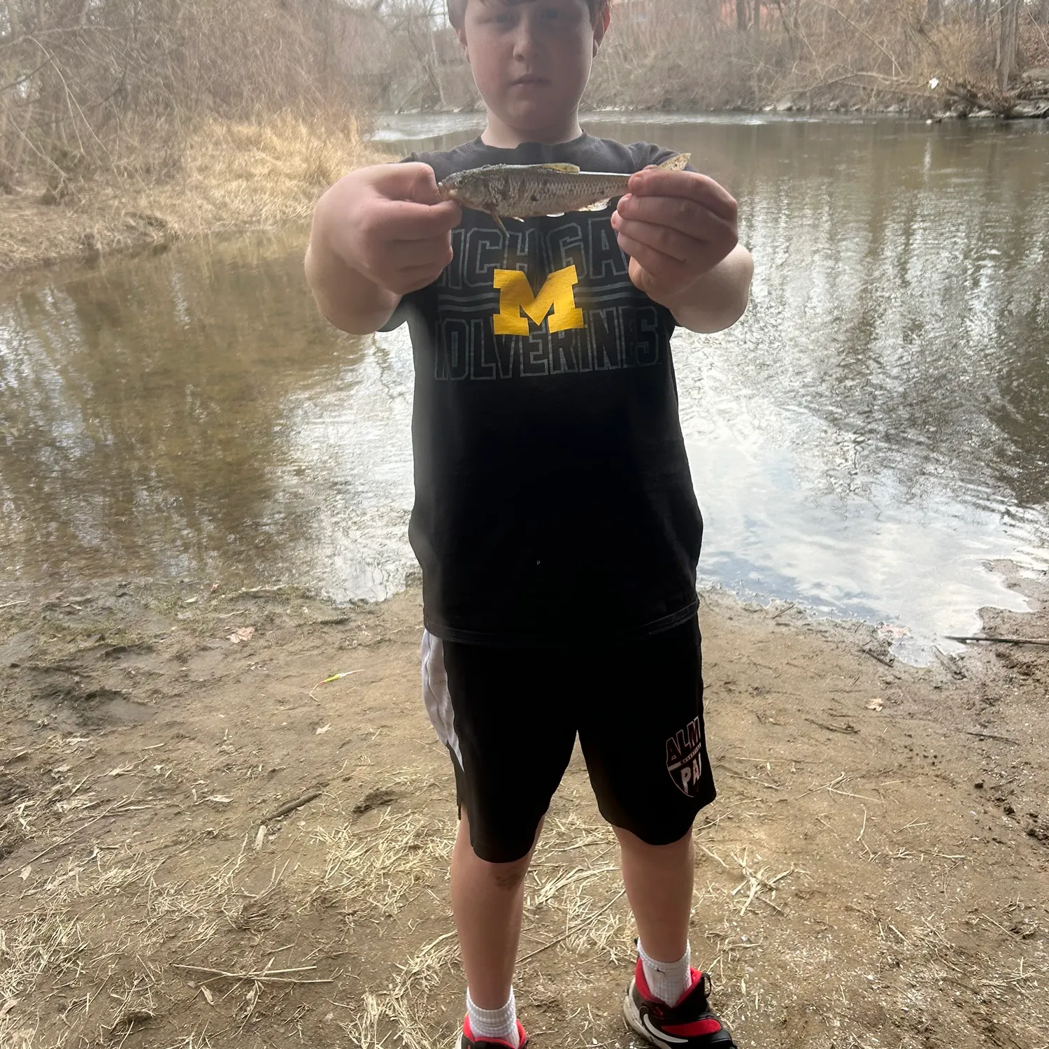 The most recent Hornyhead chub catches on Fishbrain